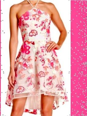 ALEXIA ADMOR Women's Embroidered Floral Dress, sz 6, 17” PTP, 40” L back